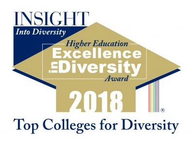 Insight into Diversity Award