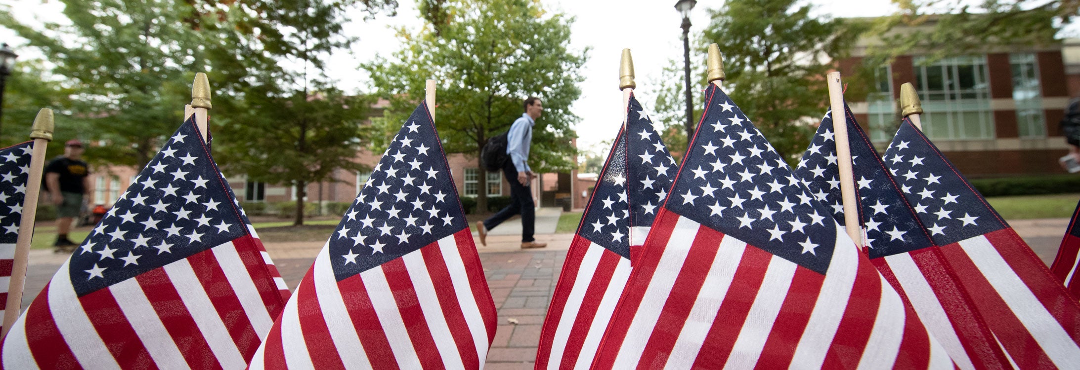 American flags on campus Mall by Joyner library